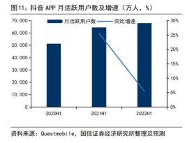 2023 年低价抖音业务网站兴起，效果究竟咋样？快来看