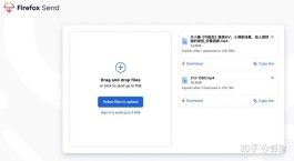 【ks业务平台便宜网站
 ,网络上ks平台是什么意思】