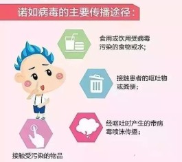 【最近病毒
 /最近病毒高发期是哪个病毒】
