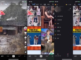 快手粉丝激增原因揭秘：算法、社区氛围与内容多样性的影响