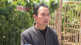 快手视频点赞
 /快手视频点赞量多少才有收益