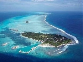 白金岛
 （白金岛三打哈官方下载安装）