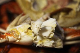 KS秒单平台：助创作者提升播放量点赞量，24小时自助下单超便捷