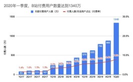 B站创作者粉丝增长压力大，付费推广与自然积累哪种性价比高？
