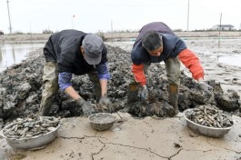 抖音播放量24小时下单价格靠谱吗？背后真相大揭秘