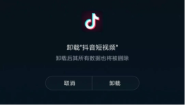 2026年1月爆火的快手自动推广App，好用但也有短板
