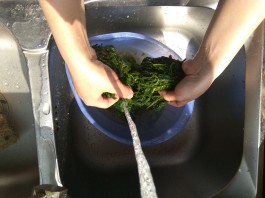 【清明节每年一样吗
 /清明节每年一样吗?】