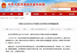 包头疫情最新消息
 /包头疫情最新消息今天