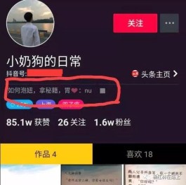 抖音涨粉攻略：标签、更新、互动技巧及避坑指南