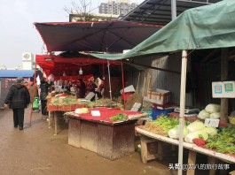 【24小时低价自助下单平台
 /】