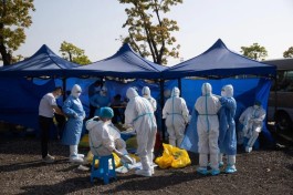 【31省新增本土25例
 /31省新增本土20例】