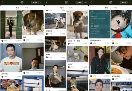 深夜刷小红书找24小时自助业务网站，咋辨可靠服务提供者？