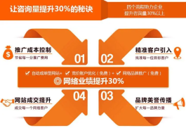 2026年最新竞价推广策略：高端定制+24小时400客服服务