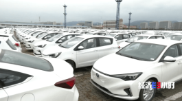 2026 年新能源汽车大爆发！KS 赞自助下单平台成出海利器