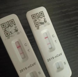 核酸检测是什么意思怎么检测
 /核酸检测是什么意思怎么检测的