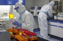 31省新增本土13例
 ,31省新增本土病例13例