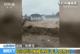 【台风到哪了最新消息
 /台风到哪了最新消息今天】