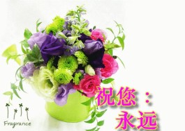 0.1元一万空间评论
 ,0.01元一万空间说说赞