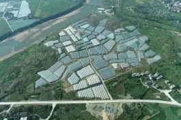 2022立春是农历几月几日几点
 ,2022立春是农历几月几日几点出生