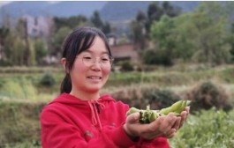 视频号接单平台：商家拓展业务新渠道、提升销售额的利器