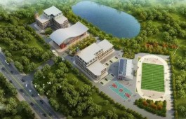 新兴综合性平台星宇揭秘：社交娱乐学习生活服务全涵盖