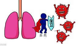 【云南新增境外输入确诊病例1例
 /云南新增境外输入确诊病例1例是哪里的】