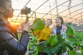 惊爆！快手低价自助平台，凭啥成数字经济新宠？