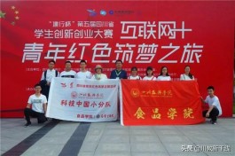 互联网发展下，算法推荐与点赞机制如何搅乱内容生态？