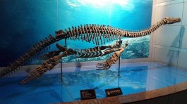 视频号限流原因大揭秘！质量、内容类型、用户互动全影响