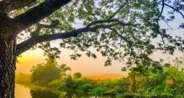 清晨似仙赐画卷，拂去烦恼，让咱重拥对生活的爱与盼