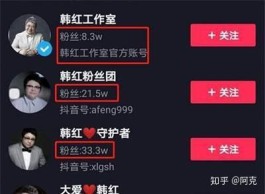 抖音加粉网站红人阁：粉丝增长有效果，但忠诚度存疑？
