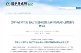 数字化时代，QQ业务网站充值代挂靠谱吗？这些要点你得知道