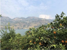 播放量5000对创作者的意义：价值衡量、复杂分析与创作方向调整