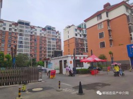 河南郸城县
 /河南郸城县天气预报