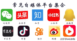 自运营涨粉与买赞KS赞平台涨粉利弊大对比，速来围观