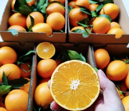 今日头条粉丝24小时下单
 （今日头条粉丝24小时下单怎么取消）