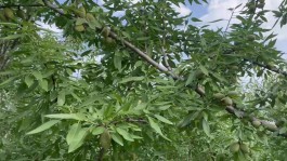 陕西挖坑
 （陕西挖坑手机版）