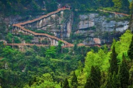 社交媒体时代，速来！免费领1万真实名片赞，狂升人气