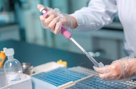 【31省新增22例确诊 本土16例
 /31省新增确诊22例本土17例】