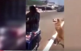 警惕！刷点赞背后的真相与风险，别让虚假繁荣毁了你的社交账号