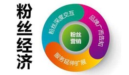 粉丝经济热潮下，机器粉与真人粉的区别及对创作者的影响