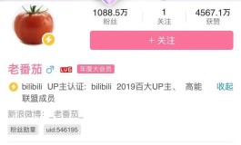 数字经济下，B站自助业务网站如何助力创作者经济腾飞？