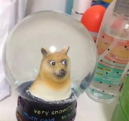 抖音代涨砍价1分拿
 /抖音砍价一分拿