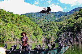 抖音自助下单能爆单？便捷背后，中小商家的血与泪谁懂啊