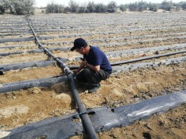 流量贵推广难？自助点赞平台，低成本打响品牌知名度