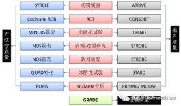 dy流量网站：引流工具or风险炸弹？流量质量与合规性成焦点