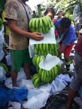 武汉最新疫情最新消息新增1例
 （武汉最新疫情最新消息新增1例病例）