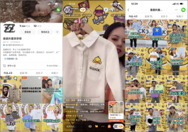 【快手粉8元一万代涨
 ,快手涨粉一万价格表】