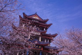 清明高速公路免费吗2021
 /清明高速公路免费吗2021年