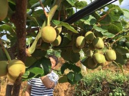 小红心作用大，能维系社交情感、体现社会认同，但要理性对待